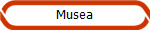 Musea